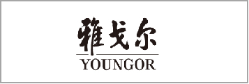 品牌门店大数据服务解决规划